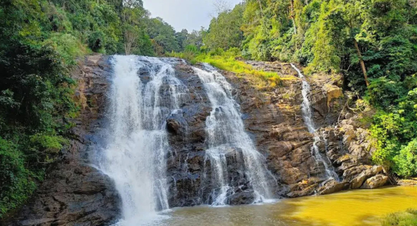 Planning Your Coorg Trip with FFD Travels